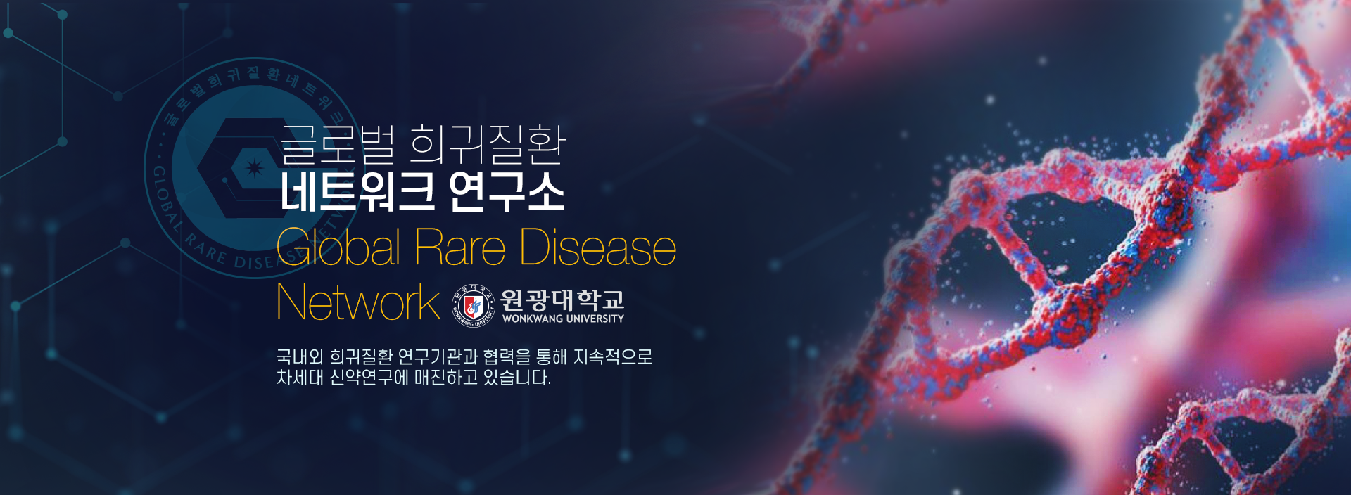 글로벌희귀질환네트워크